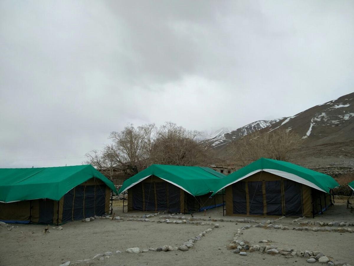 Pangong Delight Camps And Cottages Spangmik Экстерьер фото